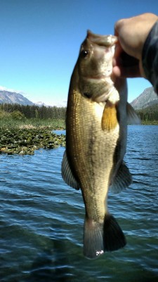 6.23.18.Fish.Lake.2.2.jpg