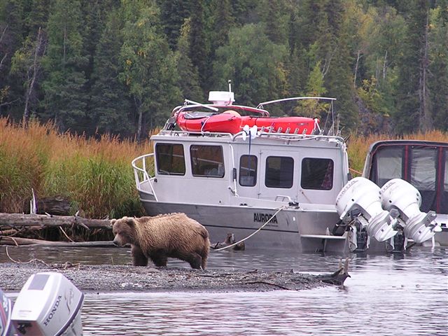 2007-09-11_Kenai_041.jpg