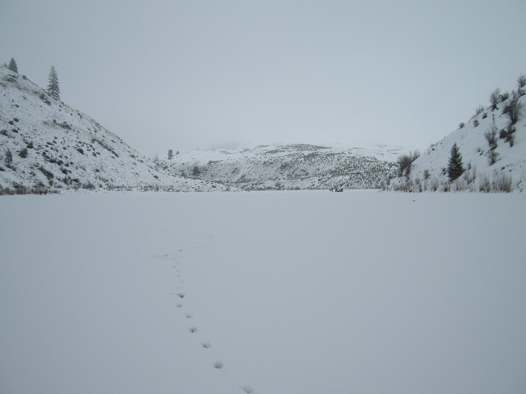 Ice_fishing_01-11-09_001.jpg