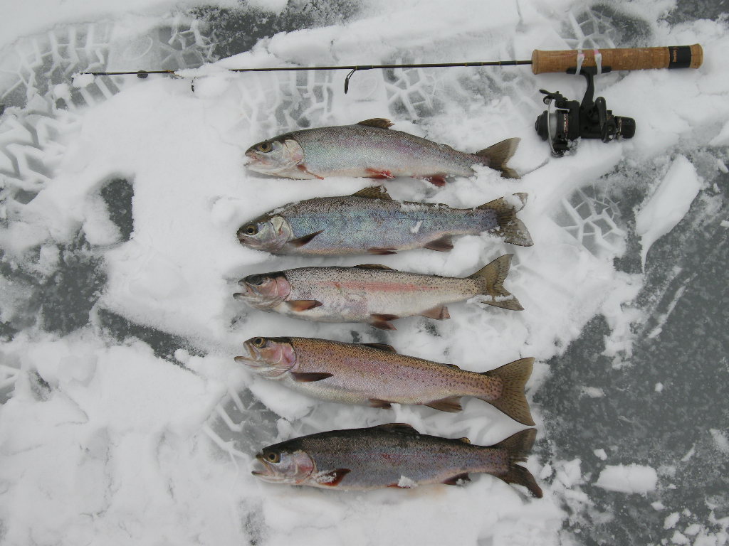 Ice_fishing_01-11-09_002.jpg